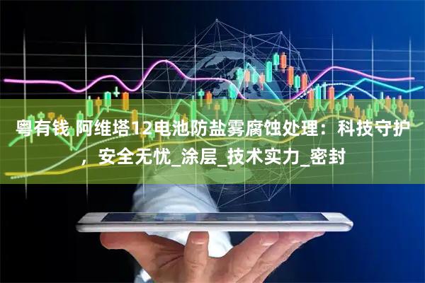 粤有钱 阿维塔12电池防盐雾腐蚀处理：科技守护，安全无忧_涂层_技术实力_密封