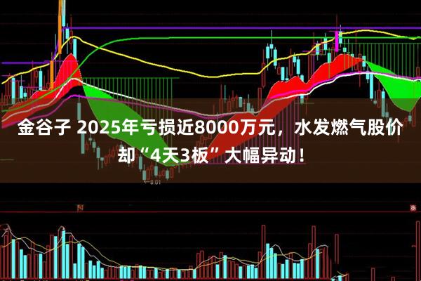 金谷子 2025年亏损近8000万元，水发燃气股价却“4天3板”大幅异动！