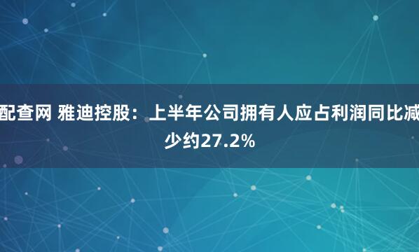 配查网 雅迪控股：上半年公司拥有人应占利润同比减少约27.2%